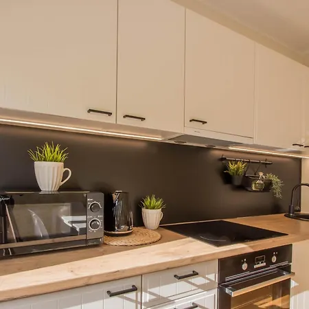 Aardla Cozy Apartman Tartu