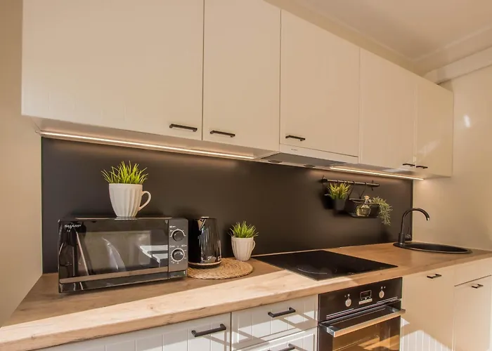 Aardla Cozy شقة تارتو